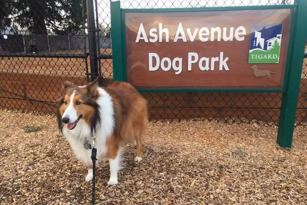 Ash Avenue Dog Park